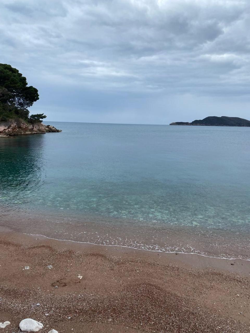 Blue Horizon Eva *